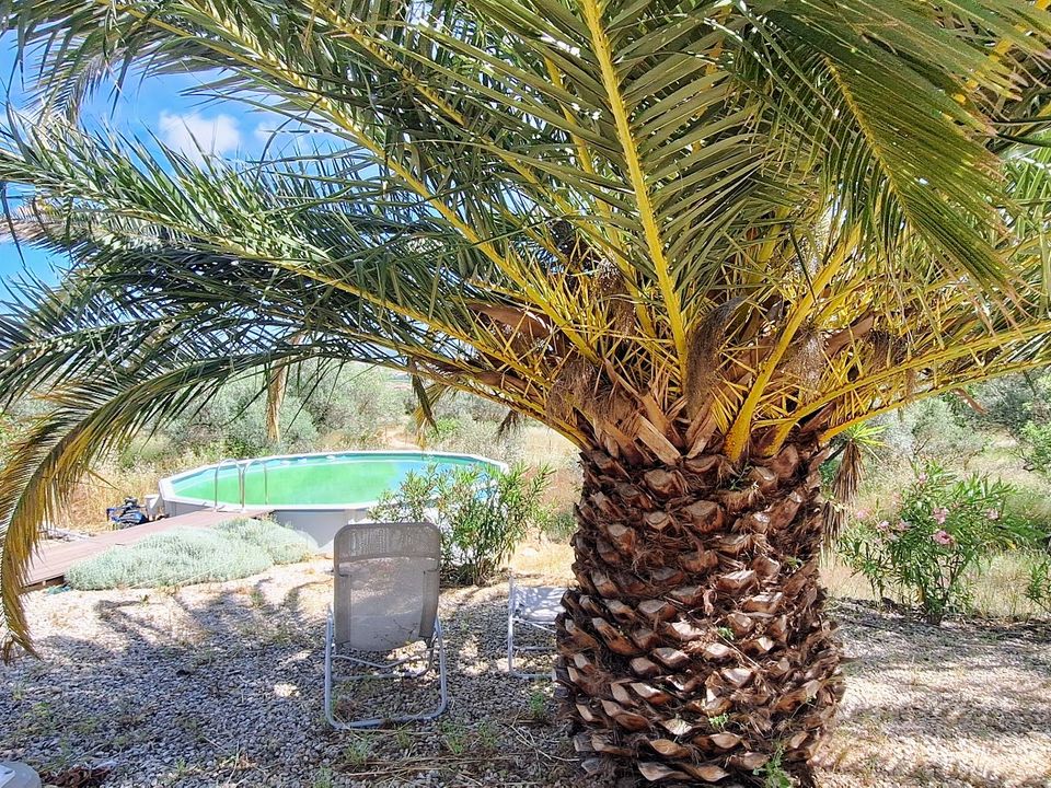 Landejendom i Ginestar, Tarragona - foto 3